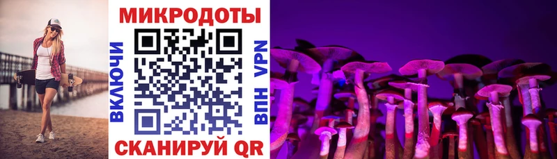 Галлюциногенные грибы мицелий  Судак 